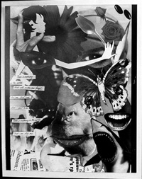 Grade 11 Photography